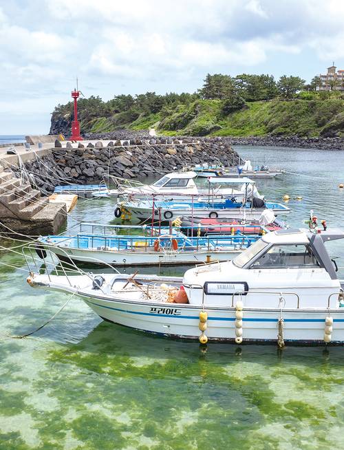바닥이 훤히 비치는 고내포구의 물빛