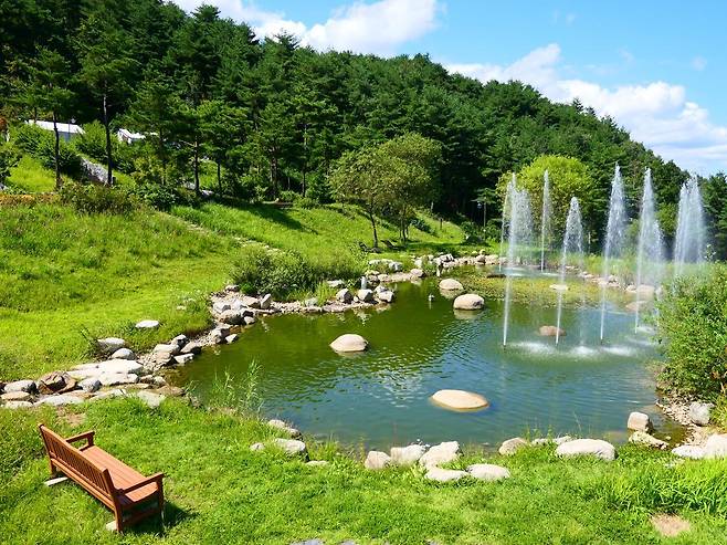 송이밸리자연휴양림.