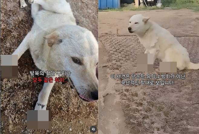 케어 인스타그램 캡처