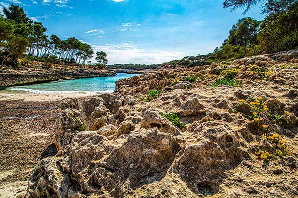 아담한 보르지트해변. 노란색 야생화가 지천에 피어 있다.