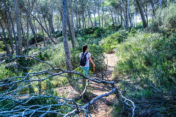 몬드라고공원 내부에는 평탄한 오솔길이 여러 갈래 나 있다.