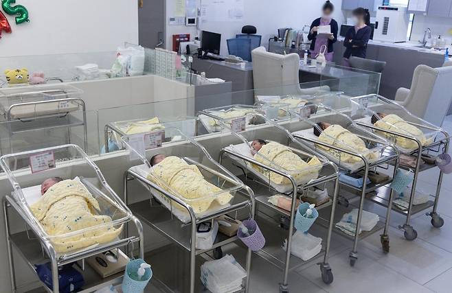 서울의 한 여성병원 신생아실. 뉴스1