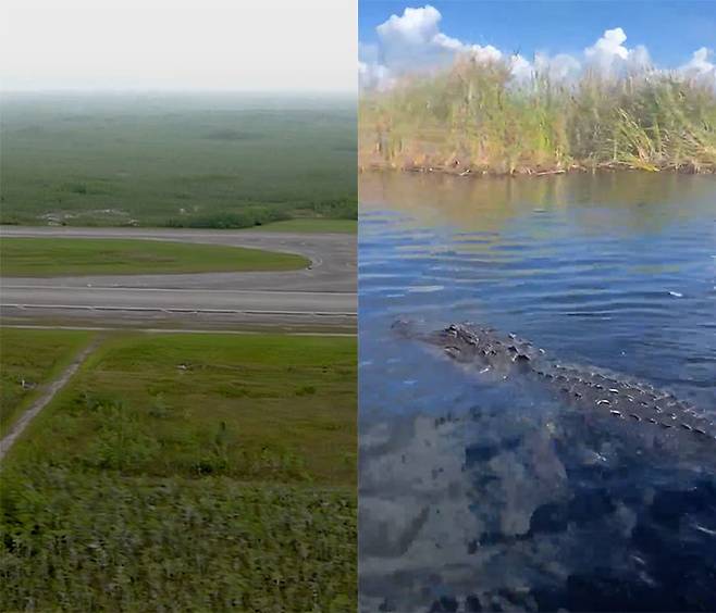 출처=엑스(AGJamesUthmeie, everglades)