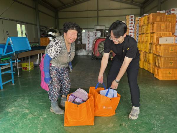 경산시가 지난 5월 말 발생한 우박으로 막대한 피해를 입은 지역 과수 농가들의 시름을 덜기 위해 농업용 유용미생물을 긴급 공급한다. 경산시.