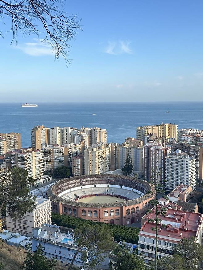 IMG_9840.jpeg 스압) 외노자의 말라가 세비야 방문기