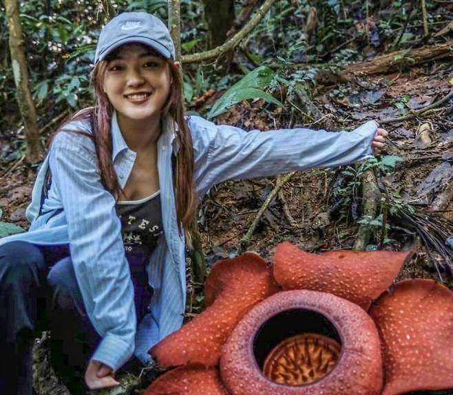 중국 상하이의 한 무역회사에서 일하는 황이허씨(28)가 말레이시아 열대우림을 탐험하면서 찾은 라플레시아 옆에서 사진 촬영을 하고 있다. 사진=사우스차이나모닝포스트