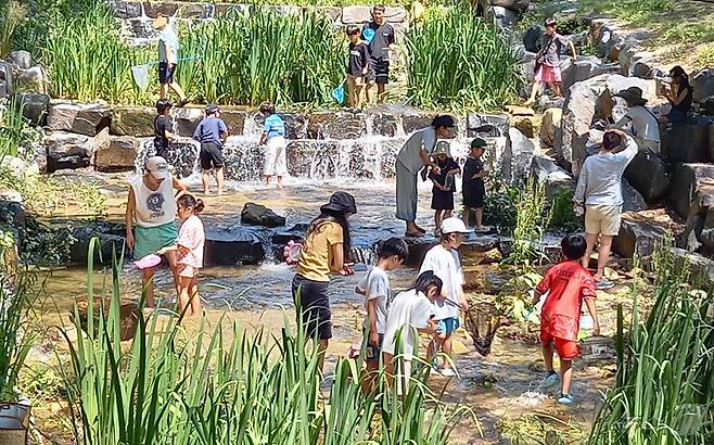 대전의 한낮 기온이 30도 안팎으로 오르면서 무더위 날씨를 보인 22일 오후 대전 중구 사정공원 계곡을 찾은 시민들이 물놀이로 더위를 식히고 있다. 2025.6.22/뉴스1 ⓒ News1 박찬수 기자