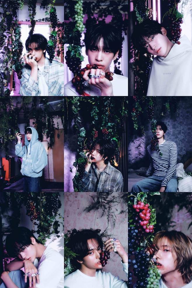 /사진=스타쉽엔터테인먼트