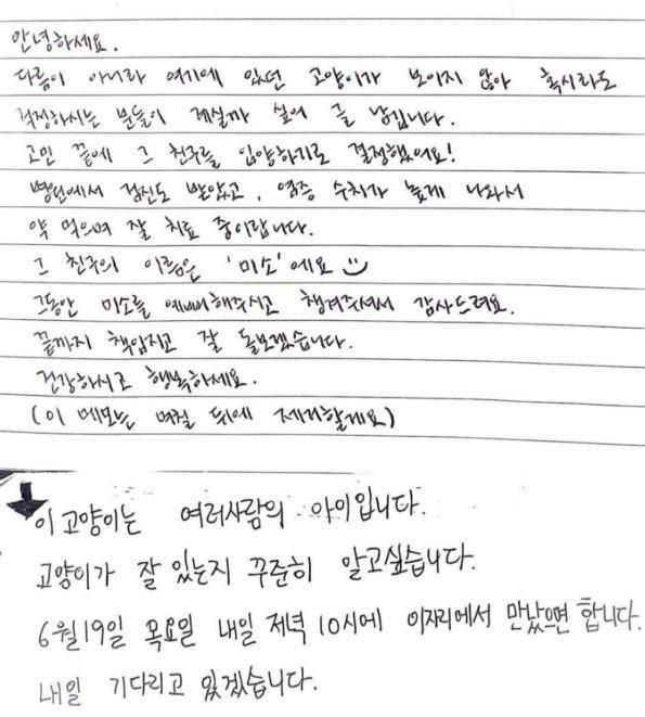 22일 한 온라인 커뮤니티를 통해 길고양이 입양인과 캣맘이 쓴 쪽지가 공개됐다. 네이트판 캡처