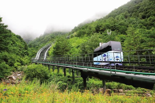 ◇사진=삼척시청 홈페이지 캡처