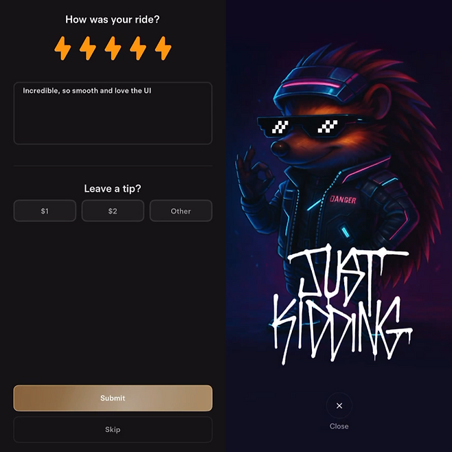 테슬라 로보택시 팁 결제 페이지에 숨겨진 이스터에그. 사진=엑스 캡처