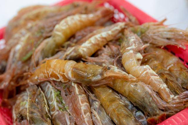 동해에서만 잡히는 가시진흙새우.