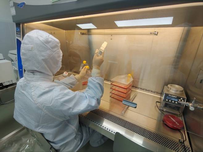 에이템즈 세포 GMP 시설에서 연구자가 세포 배양을 하고 있다. 에이템즈 제공.