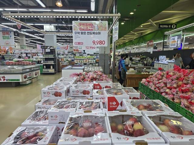 21일 농협 하나로마트 서울 양재점에 우박 피해 천도복숭아가 진열돼 있다. 농협경제지주