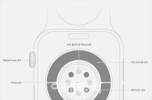 애플워치 심박수 측정(사진=애플)