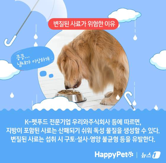 ⓒ News1 김지영 디자이너