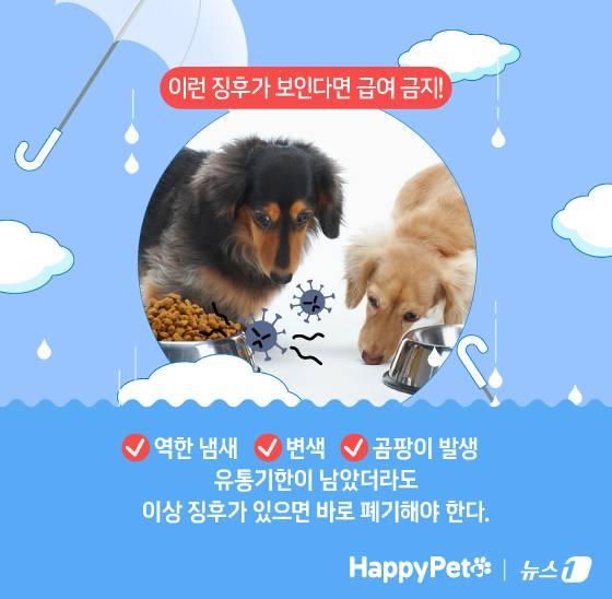 ⓒ News1 김지영 디자이너