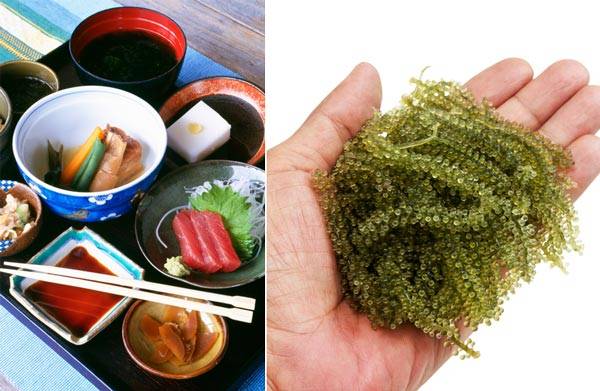 장수 도시 중 하나인 오키나와 주민들이 실천하는 오키나와 식단은 장수에 도움이 된다./사진=클립아트코리아