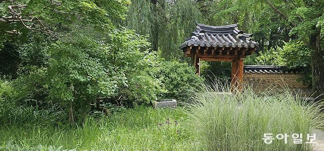 초여름 풀향기 가득한 경기 용인시 호암미술관의 정원인 ‘희원’. 용인=김선미 기자 kimsunmi@donga.com