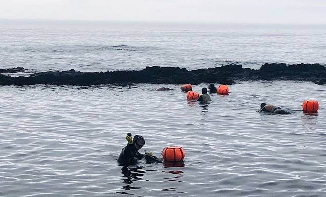 성게 채취 중인 제주 해녀들.