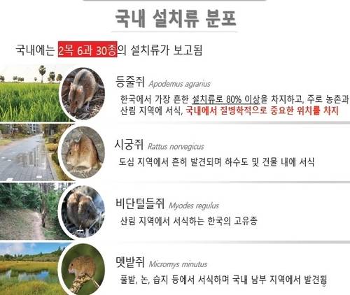 ▲ 질병관리청 제공