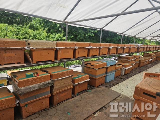 ▲스마트 벌통이 설치된 양봉농가 모습. ⓒ용인특례시