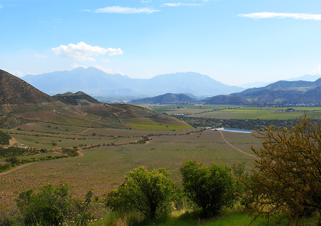 카사블랑카 밸리에 위치한 '코노 수르(Cono Sur)'의 '엘 엔칸토(El Encanto)' 포도밭 전경.