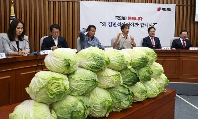 국민의힘이 30일 오전 국회에서 연 ‘김민석 국무총리 후보자 국민청문회’ 한쪽에 배추 18포기가 쌓여 있다. 김 후보자가 미국 유학 시절 지인으로부터 매달 450만원을 받았다는 의혹에 대해 “배추 농사 투자 수익 배당금”이라고 해명한 것을 비판한 것이다. 윤운식 선임기자 yws@hani.co.kr