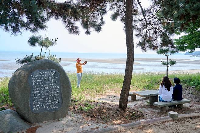 한강 작가 아버지 한승원 작가를 기리는 한승원문학산책로. 여다지해변에 있다.