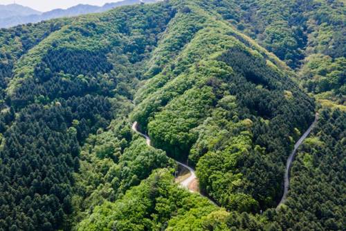 ◇이수환 作 ‘울동네_품걸리가는길’