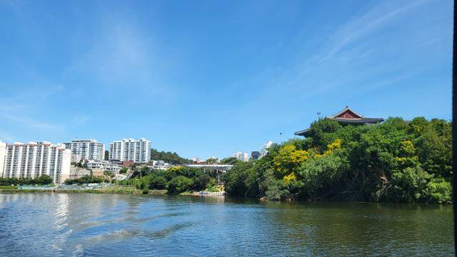 울산 태화강 폰툰보트에서 바라본 전경. 울산= 박은경 기자