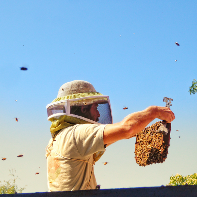 아일랜드 비즈 벌꿀 투어 / 사진=하와이 관광청