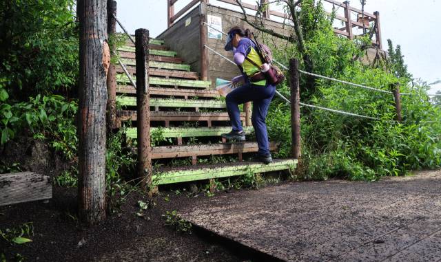 30일 오전 인천 계양구 계양산 정상이 러브버그(붉은등우단털파리)들로 뒤덮여 등산객들이 불편을 겪고 있다. 인천=연합뉴스