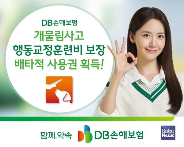 개물림 행동교정. ⓒDB손해보험