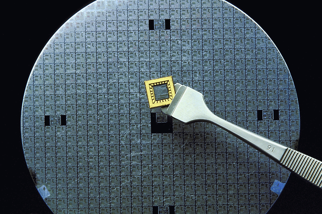 (게티이미지뱅크)