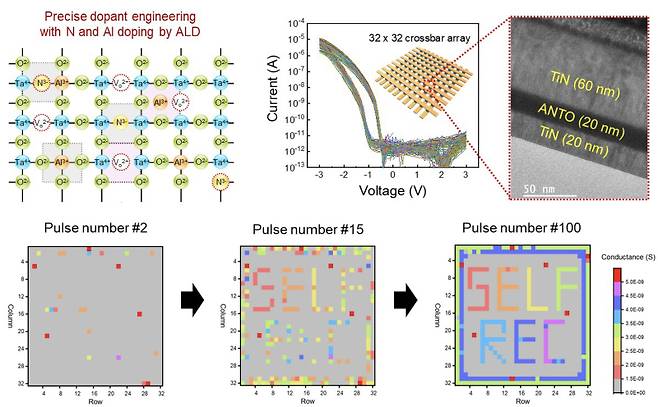 자가 정류 특성을 갖는 산화물 멤리스터를 활용한 대규모 어레이 동작 구현 이미지. 영남대 제공