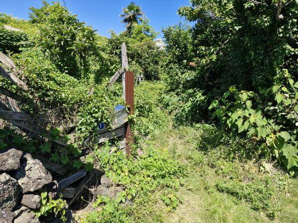 덤불에 가려진 취약가구 어르신 주택. 제주시 제공