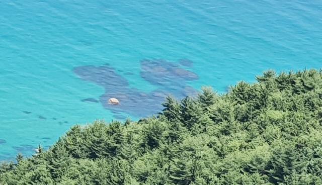 ▲ 강릉 괘방산 활공장에서 내려다보는 동해 바다속 ‘사랑 바위’가 지역의 명물이 되고 있다.