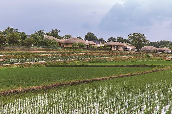 초여름의 하회마을 풍경