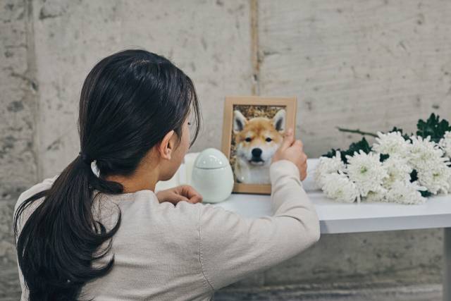 펫로스 증후군(Pet Loss Syndrome)이란 자신의 반려동물이 사라진 것에 대한 극심한 슬픔과 우울감을 경험하는 정서적 상태를 말한다. 게티이미지벵크
