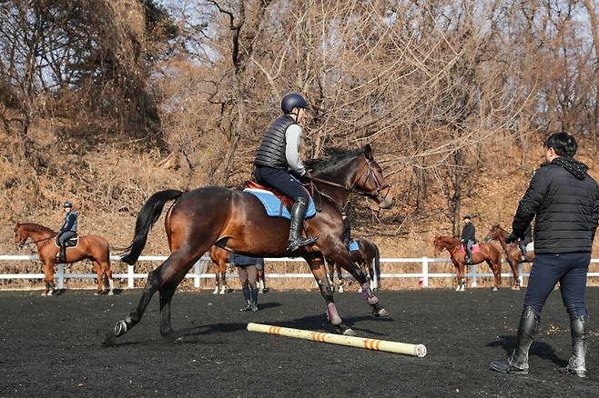 말산업 양성기관 국내 교육 현장. (한국마사회 제공)
