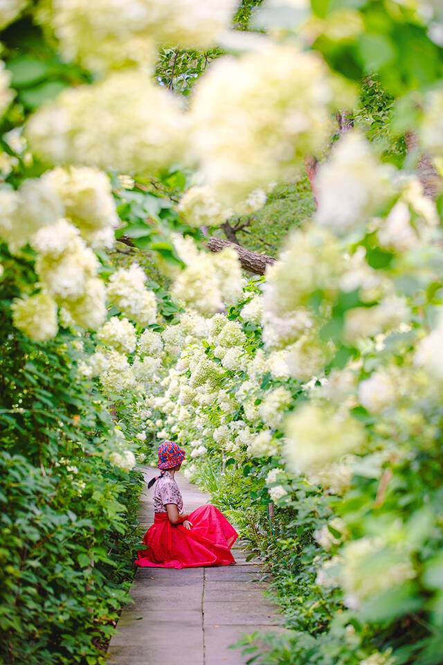 산림청이 여름 나들이로 가볼만 한 '수목원·정원 10선'을 소개했다. 전라남도 담양군 죽화경./산림청
