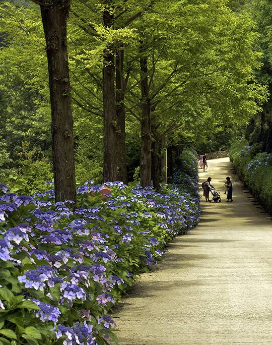 경상남도 고성군 그레이스정원./산림청