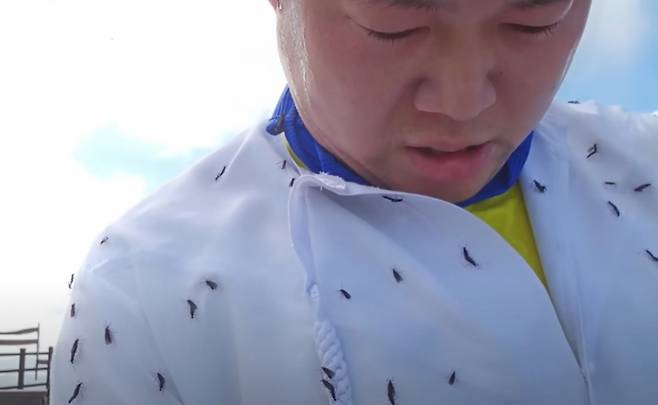 축구 크리에이터 감스트(본명 김인직)가 러브버그 특공대를 자처하며 인천 계양산에 올랐다./사진=유튜브 갈무리