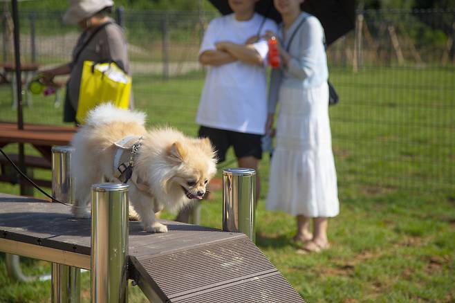 안성맞춤랜드 같이파크
