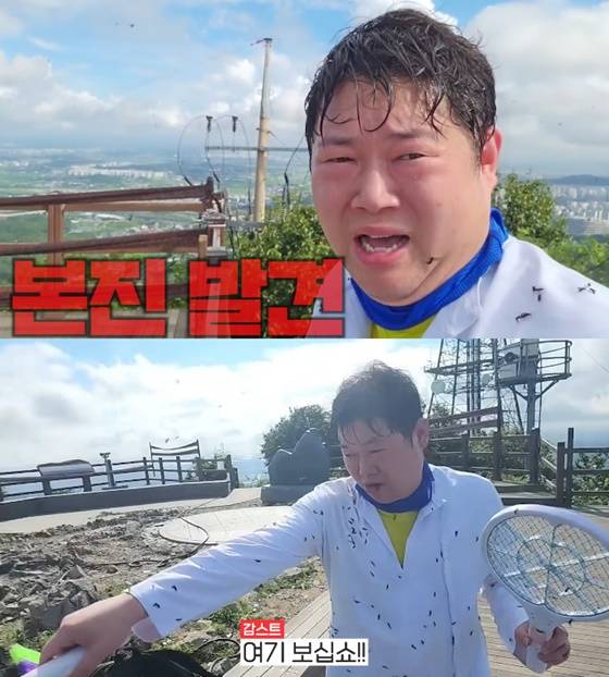 감스트, 계양산 러브버그에 뒤덮인 몸..냄새+사체에 경악 "닭똥 250배"