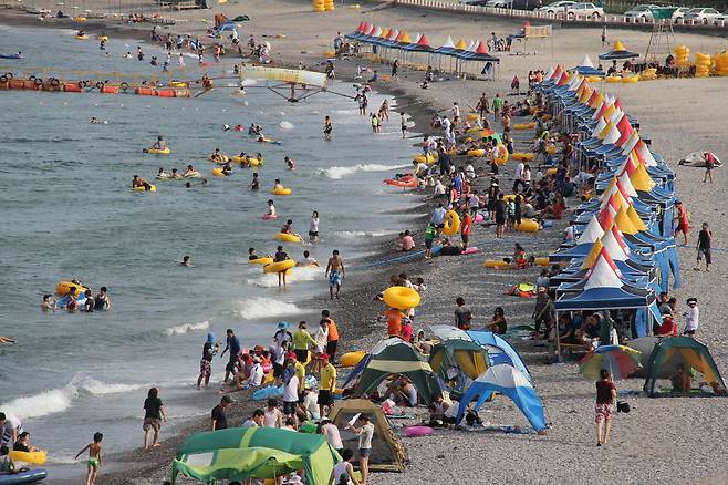 경주 오류고아라해변에서 물놀이를 즐기며 무더위를 식히는 피서객의 모습. /경주시 제공