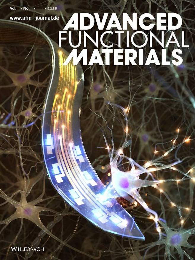 어드밴스드 펑셔널 머터리얼즈 (Advanced Functional Materials) 논문 전면 표지. /KAIST