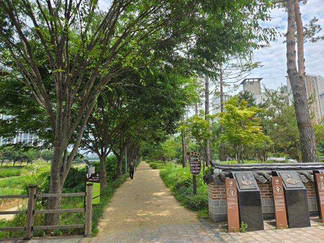 산림청이 선정한 산책하기 좋은 도시숲 10선에 경기도에서 유일하게 포함된 평택 바람숲길. 산림청 제공