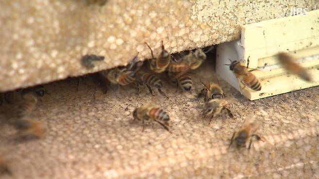 사진은 기사와 관련 없음